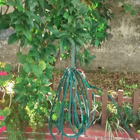 Casa Bianca מסינה